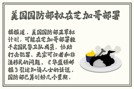 秘书你的兔子好软水好多作文